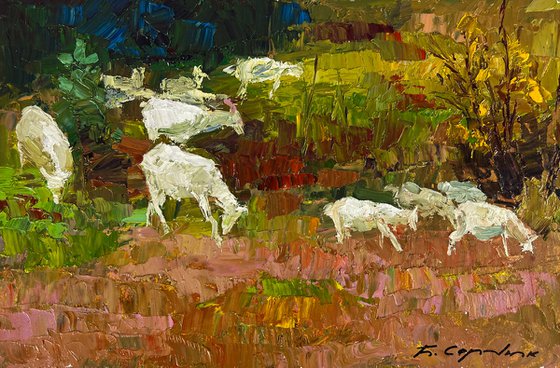 White Goats in the Meadows