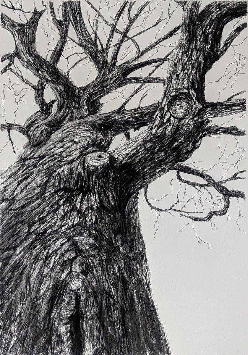 Photorealistic Landscape Charcoal Drawing By Sophie Adair, 22 X 30", Bare, Original Artwork