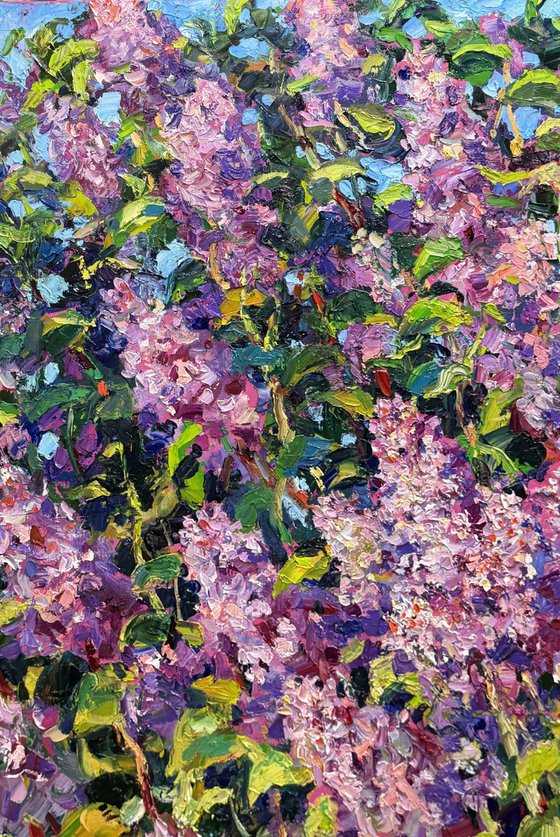 Breath of spring.