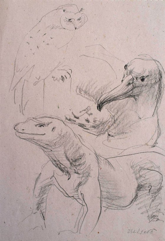 Sketches from the animal world. Similar and Different