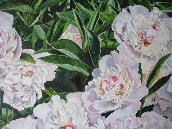 Peonies in Sunlight