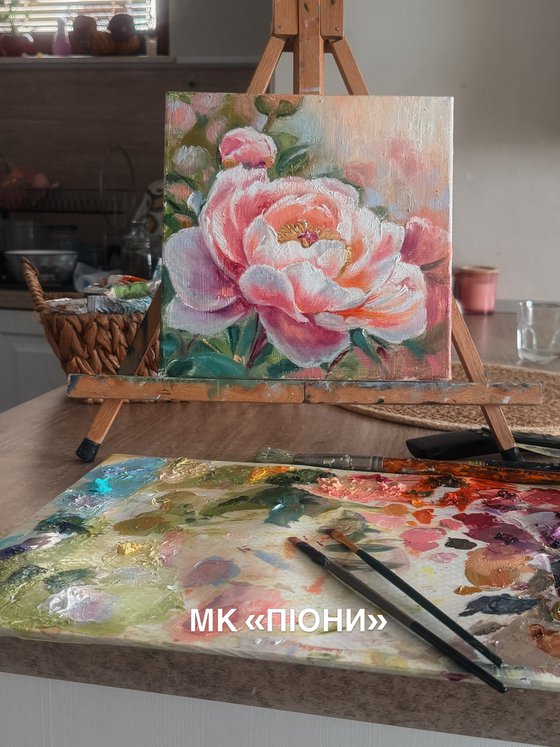 Blush Peony in Bloom