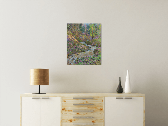 Springs of a mountain stream