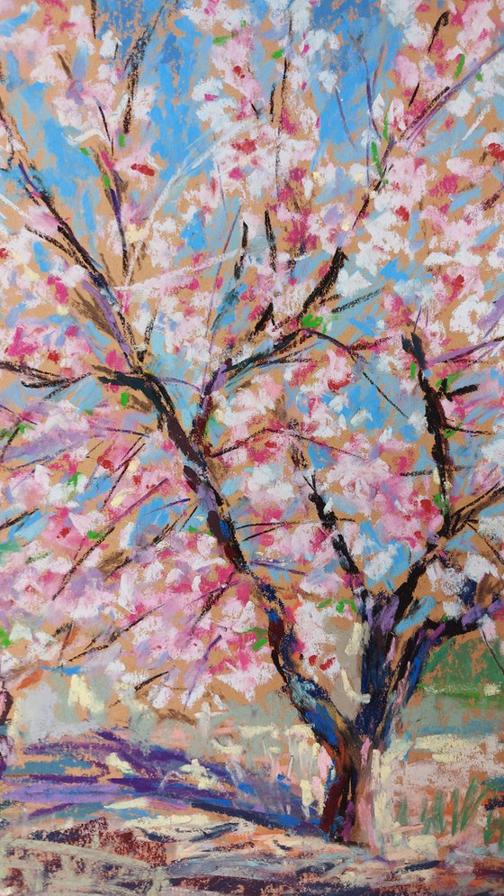 Almond blossom