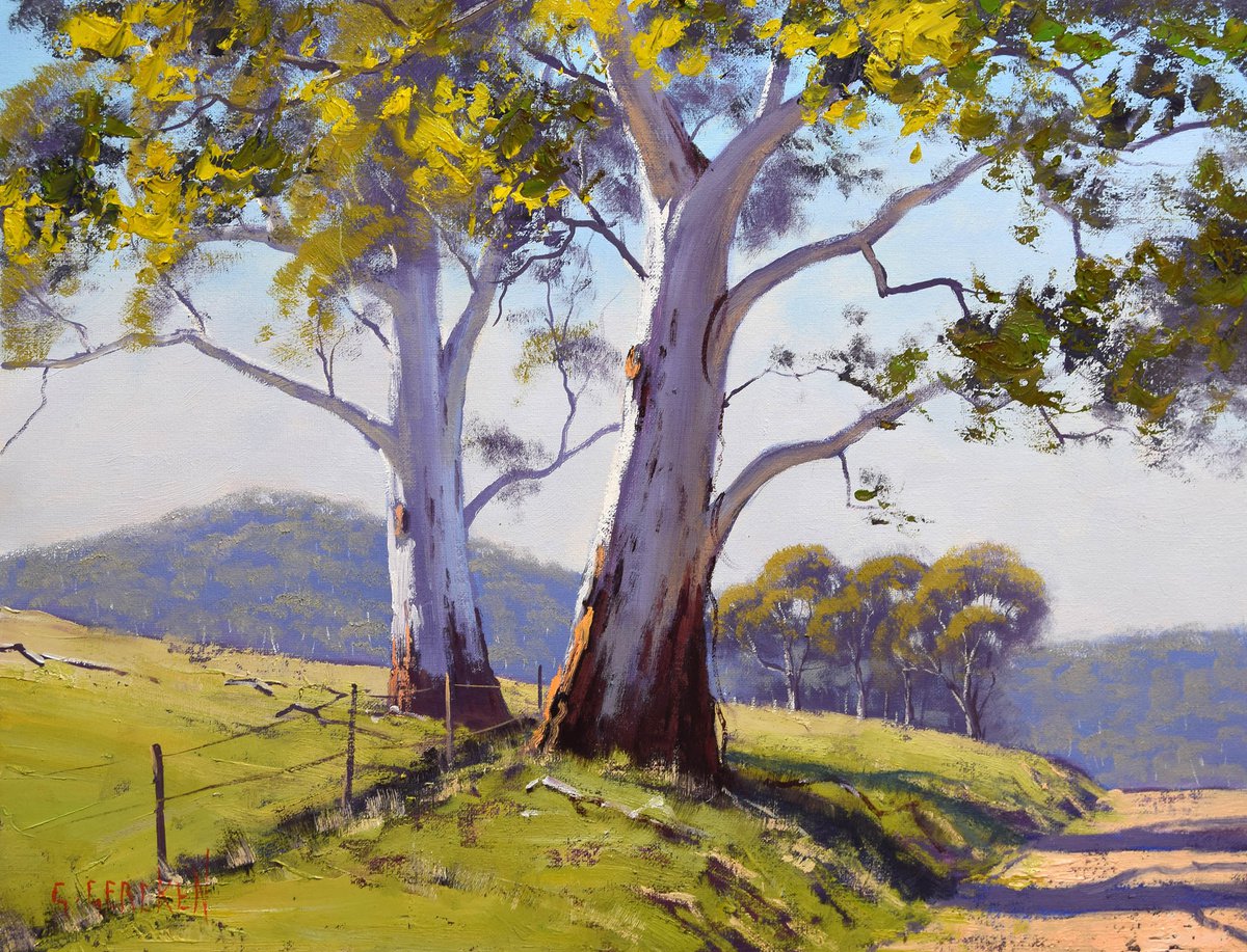 Australian gum tree Eucalyptus tree large landscape by Graham Gercken