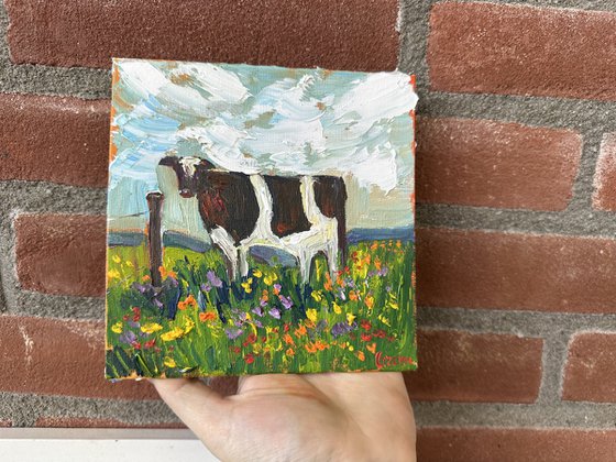 A cow in a field