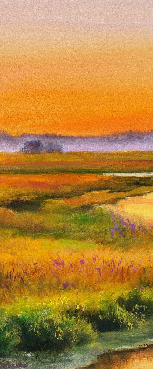 Golden hour in the marsh by Lucia Verdejo