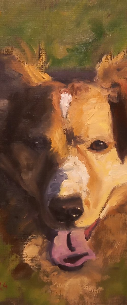 Nela by Andrea Bocedi