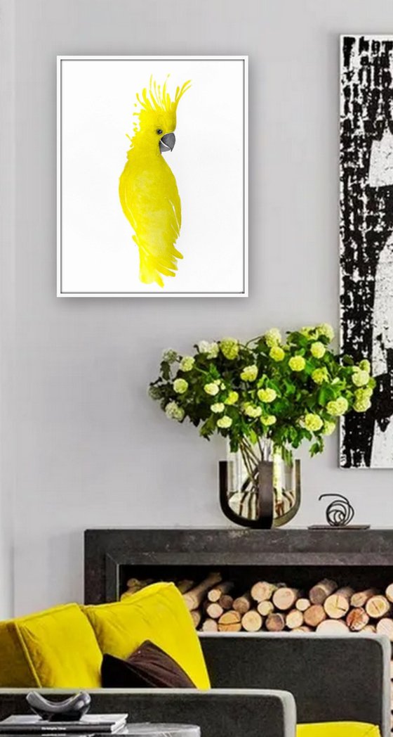 Original Artwork. Parrot