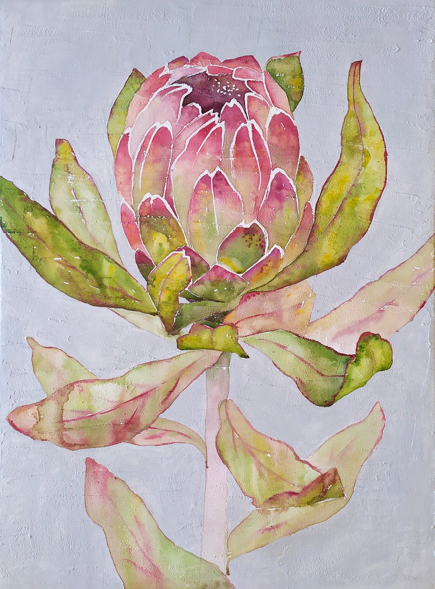 Protea by Ekaterina Prisich