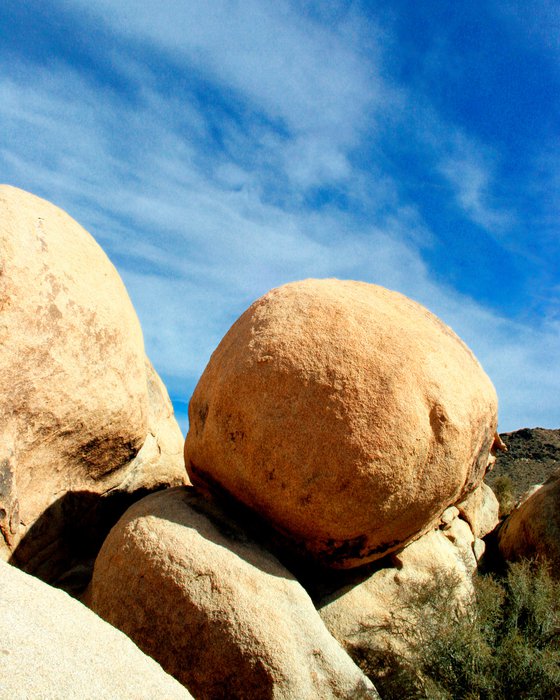 ROCK ON Joshua Tree National Park