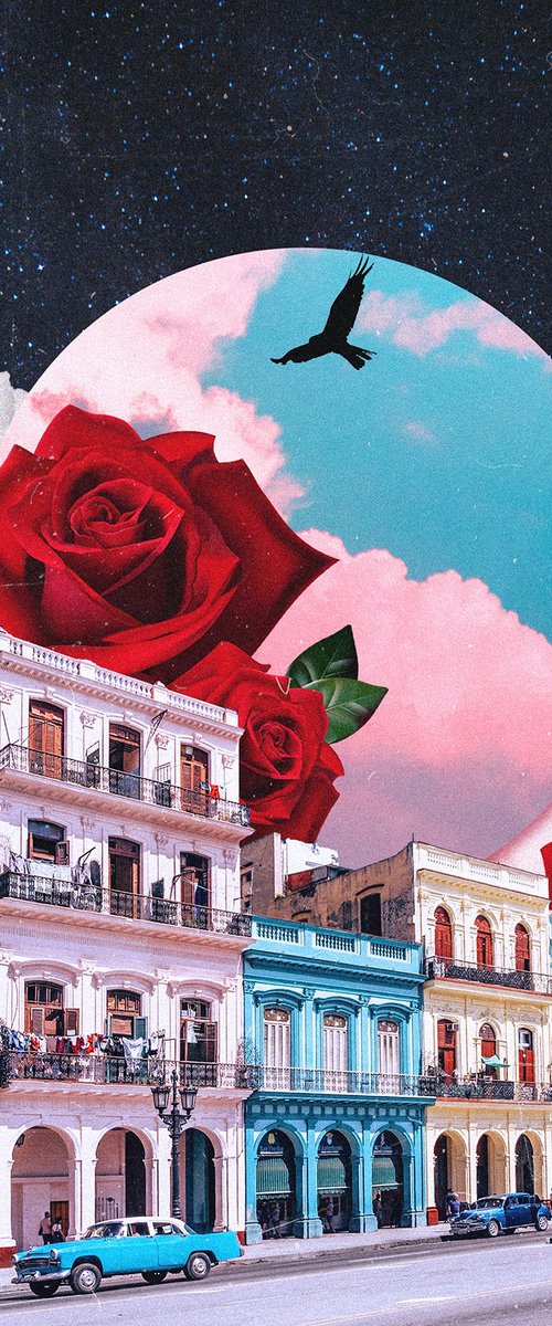 Cuba&Roses by Darius Comi