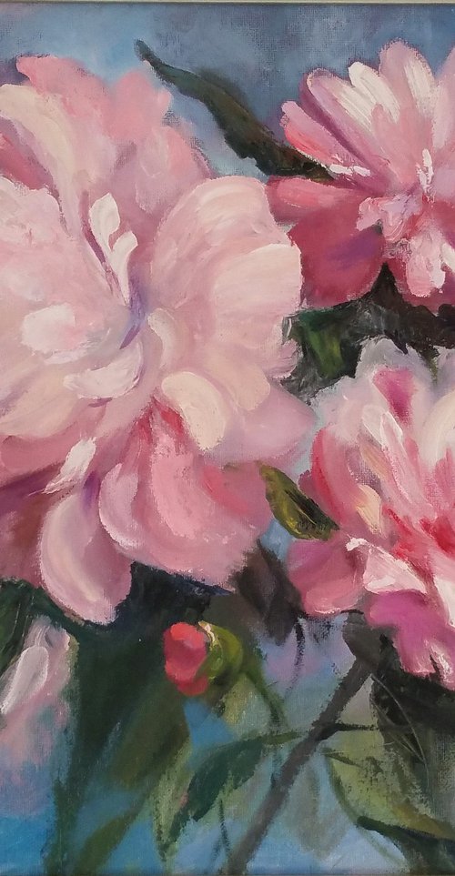 Peonies by Olga Lomax