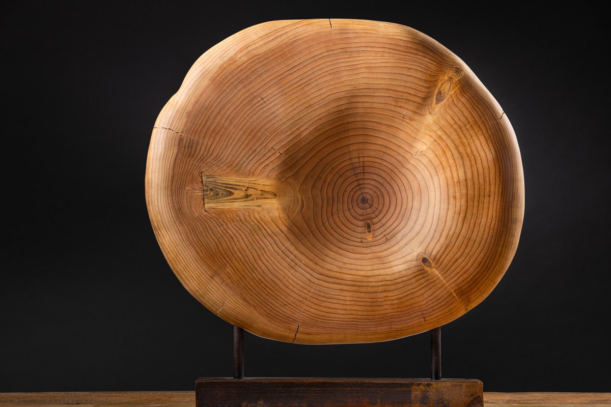 Geometric Abstract Wood Sculpture By Robert Houser, 34 X 23", Erythrocyte, Original Artwork