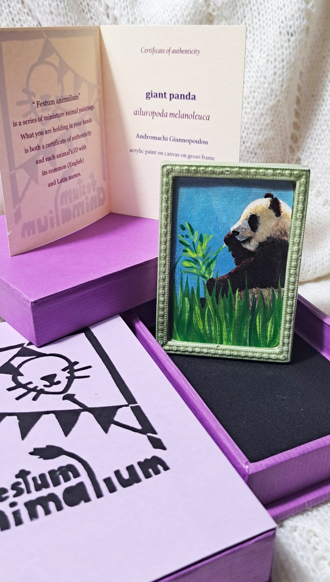 giant panda, part of framed animal miniature series festum animalium by Andromachi Giannopoulou