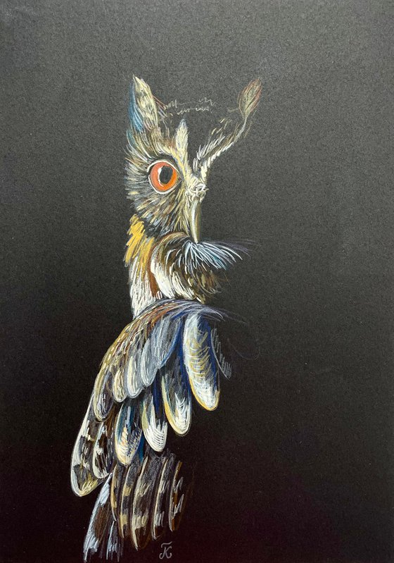 Owl Original Pencil Painting, Mixed Media Artwork, Animal Wall Art, Bird Lover Gift