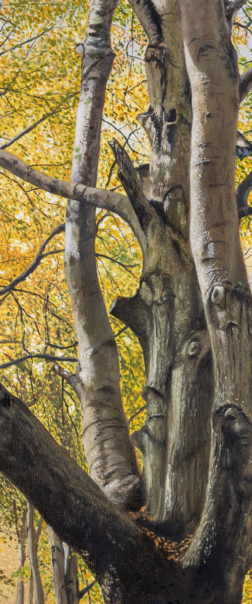 Autumn Forest Painting by Christopher Witchall