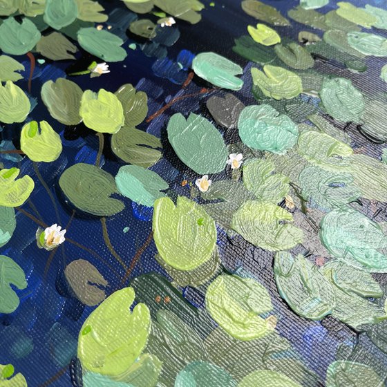 Water lilies. The pond. Evening dusk