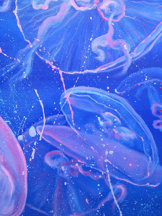 Jellyfish underwater life