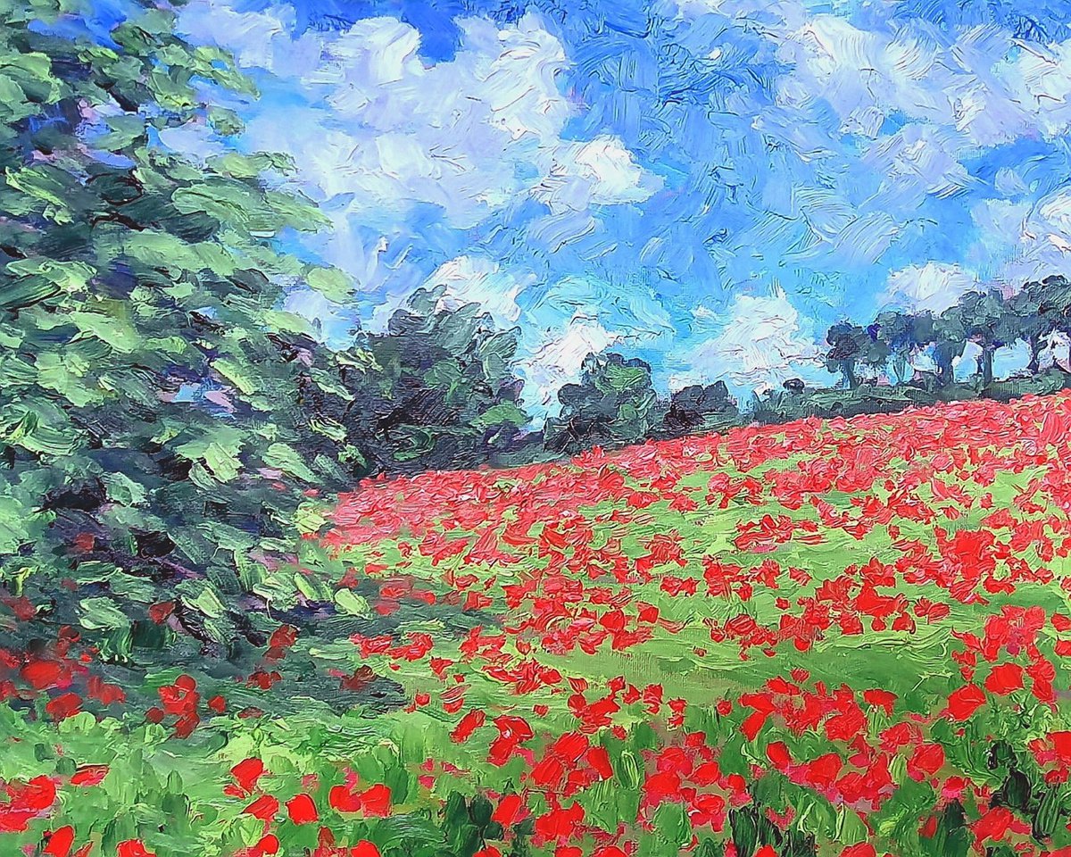 poppy field 3 by Colin Ross Jack