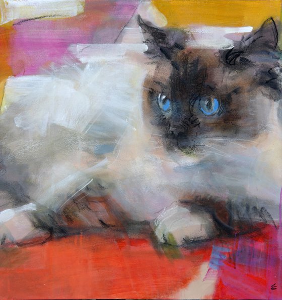 "Kitty "