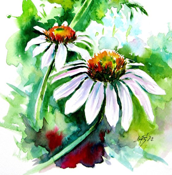 Flowers of summer
