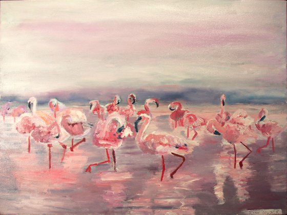 Flamingos At Dusk