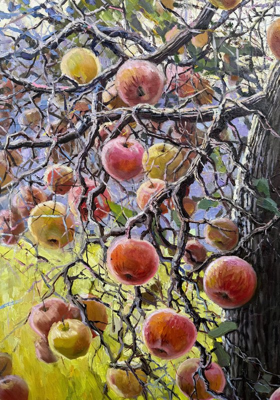 Apple Tree in Summer