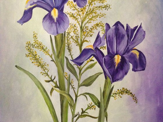 The Purple Irises