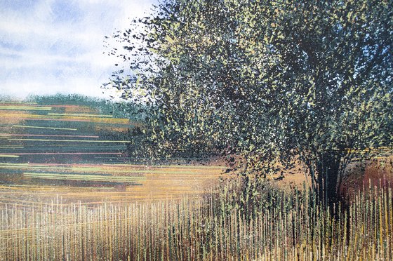 Meadow In Late Summer 2