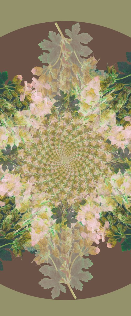 Botanical Mandala #1 by Louise O'Gorman