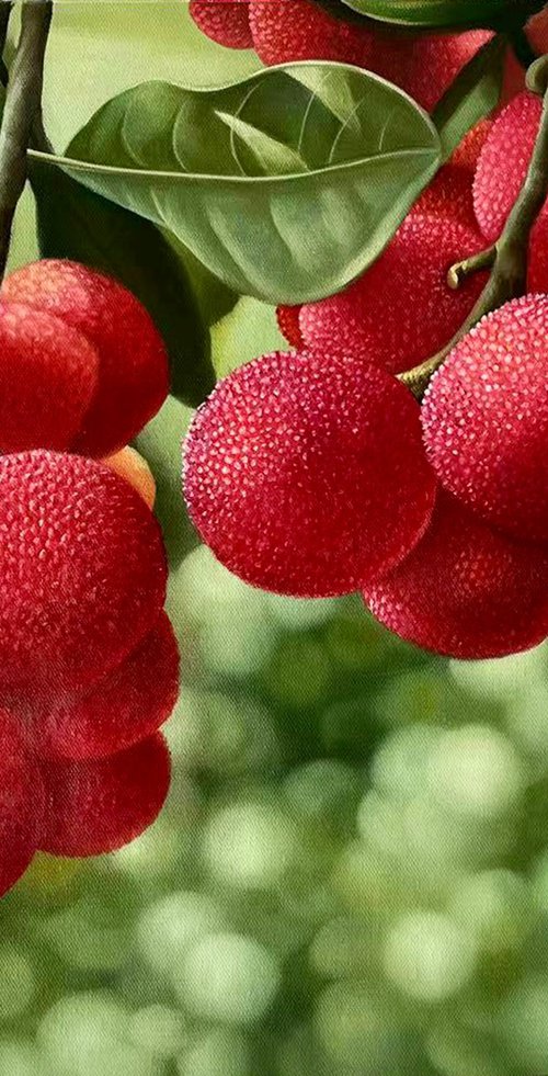 Still life:red bayberry by Kunlong Wang