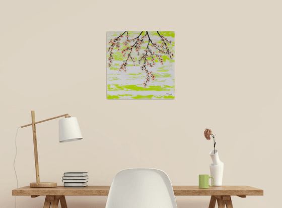 Cherries in the spring 2
