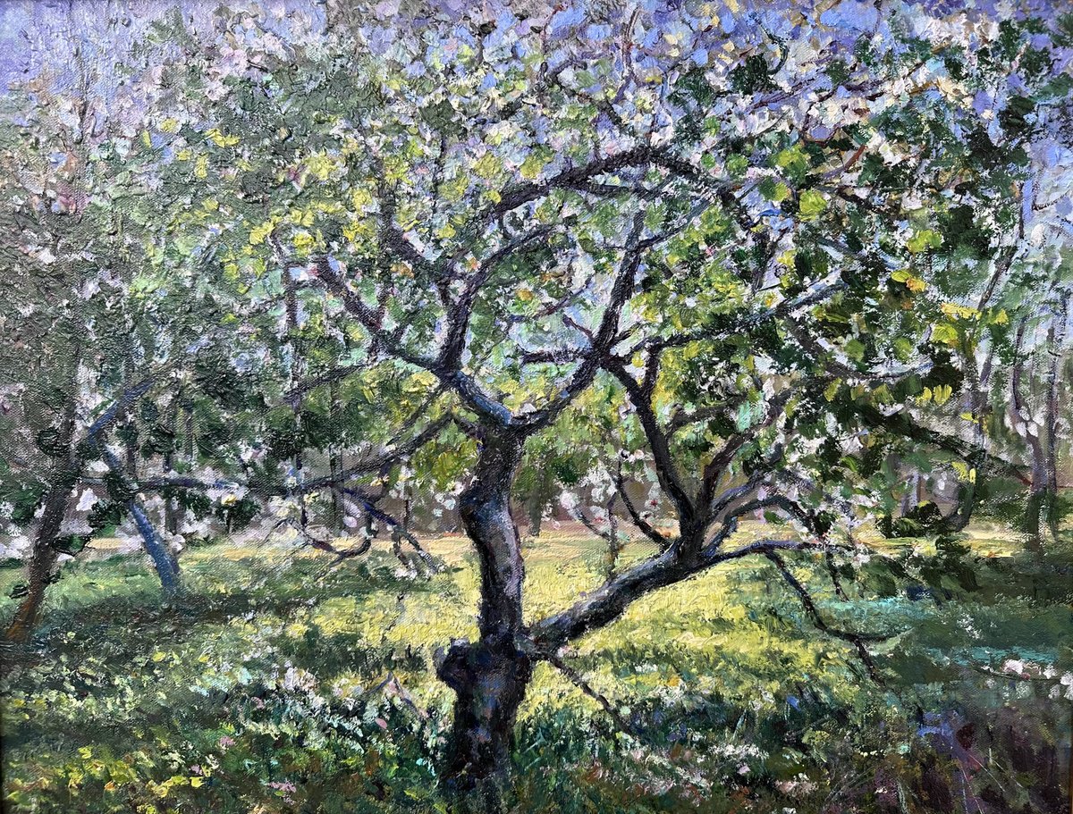 Apple Trees In Tetritskaro By Zurab Sharvadze, 28 X 24, Artwork For Sale On Artfinder