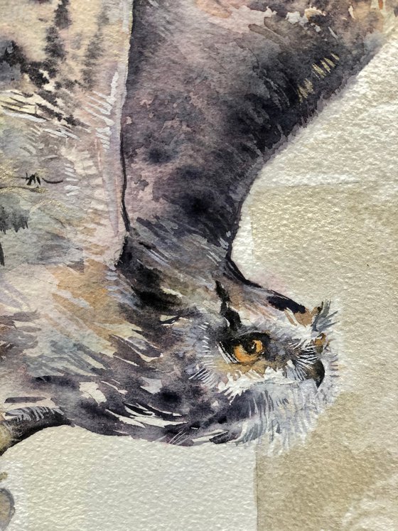The Owl #4