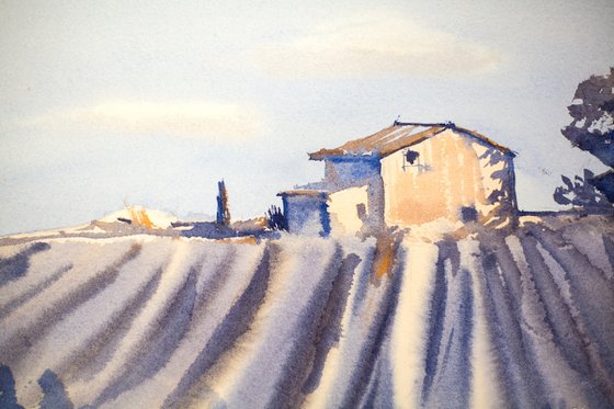 Lavender field in Provence. Medium watercolor pastel drawing bright colors France