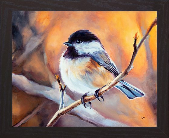 Chickadee bird portrait on a branch