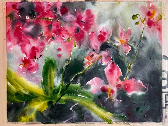 Orchids 3 - original floral watercolor