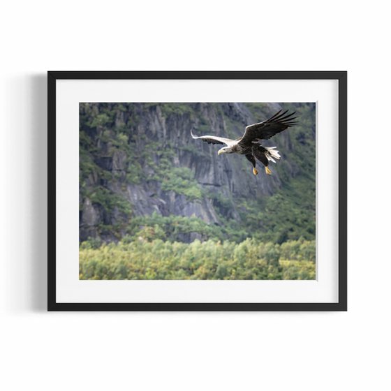THE EAGLE ATTACK