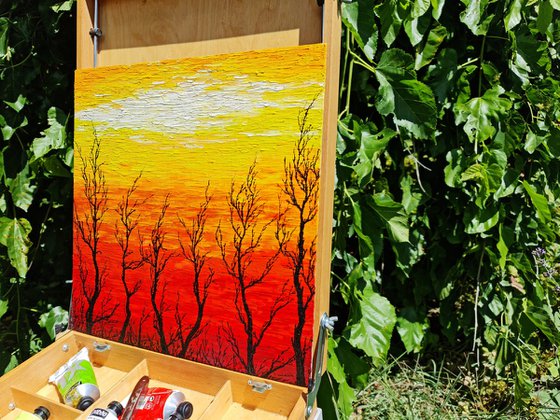Sunny trees
