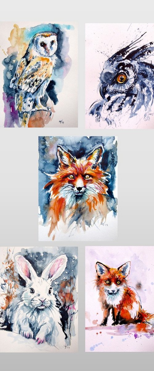 Animal collection by Kovács Anna Brigitta