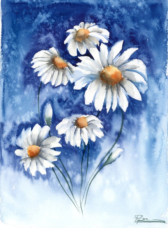 Daisies