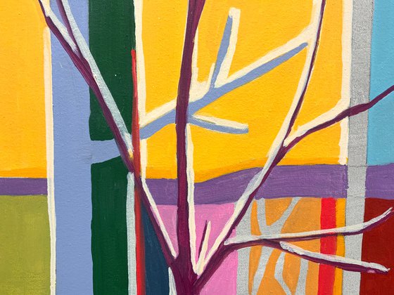 Mr. Cardinal In A Pre Dawn Glow