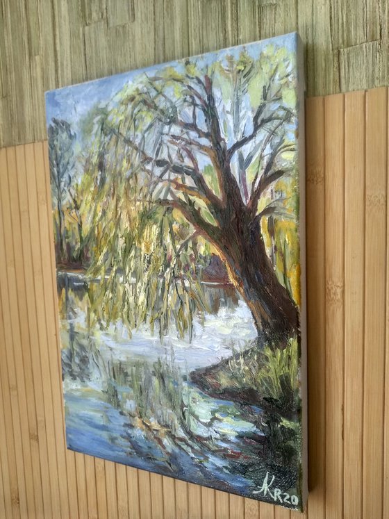 Golden Weeping Willow