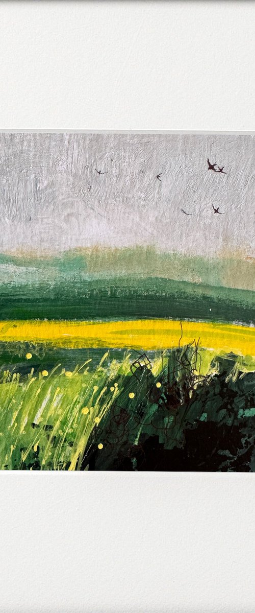 Tranquil Fields by Teresa Tanner