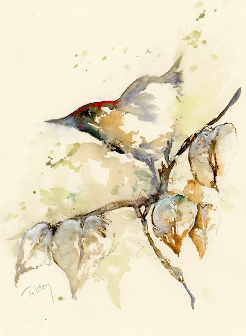 Bird on a Limb by Alex Tolstoy