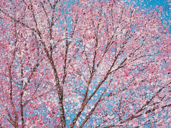 Cherry blossom dances in the blue, blue sky | 76cm x 76cm