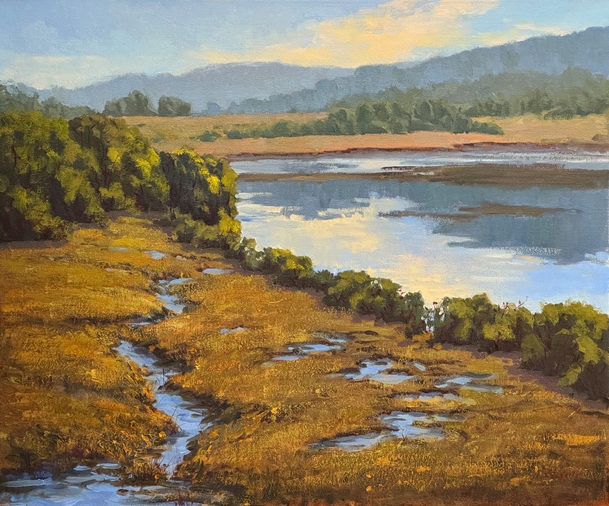 Impressionistic Landscape Oil Painting By Tatyana Fogarty, 24 X 20", Tomales Bay Salt Marshes Landscape, Original Artwork