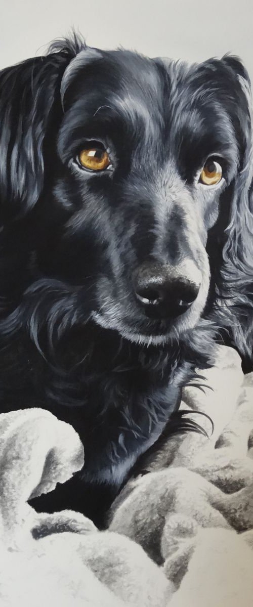 Pippa by Julian Wheat