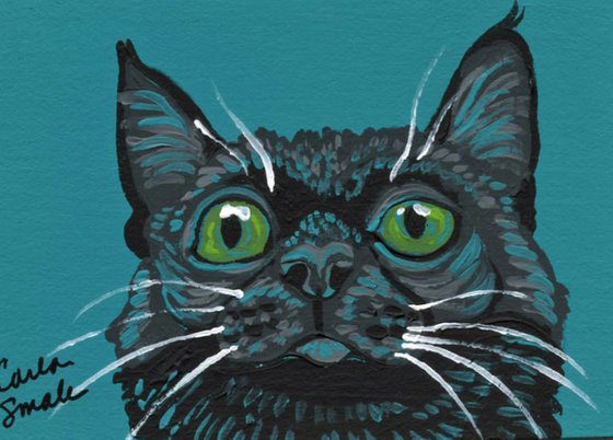 Black  Cat